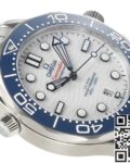 Fake Omega Watch - VS Factory Seamaster Diver 300M