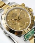 King Factory Replica Rolex Cosmograph Daytona M116503-0003 Golden Panda Dial