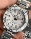 Omega Seamaster White Dial VS Factory 215.30.40.20.04.001